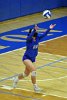 VB vs ENC  Wheaton College Women's Volleyball vs Eastern Nazarene College. - Photo By: KEITH NORDSTROM : Wheaton, volleyball, VB, Eastern Nazarene College